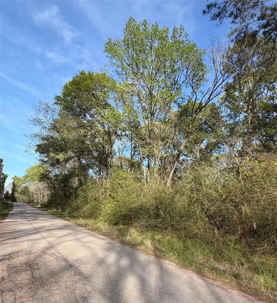 TBD Jackson Road, Coldspring, TX 77331 - #3