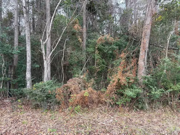 00 County Road 3011, Tarkington, TX 77535