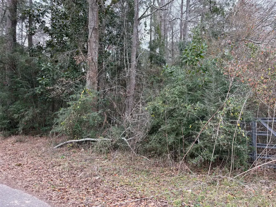 00 County Road 3011, Dayton, TX 77535 - #2