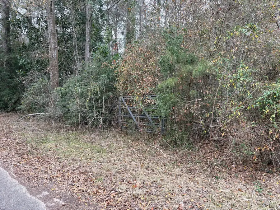 00 County Road 3011, Dayton, TX 77535 - #3