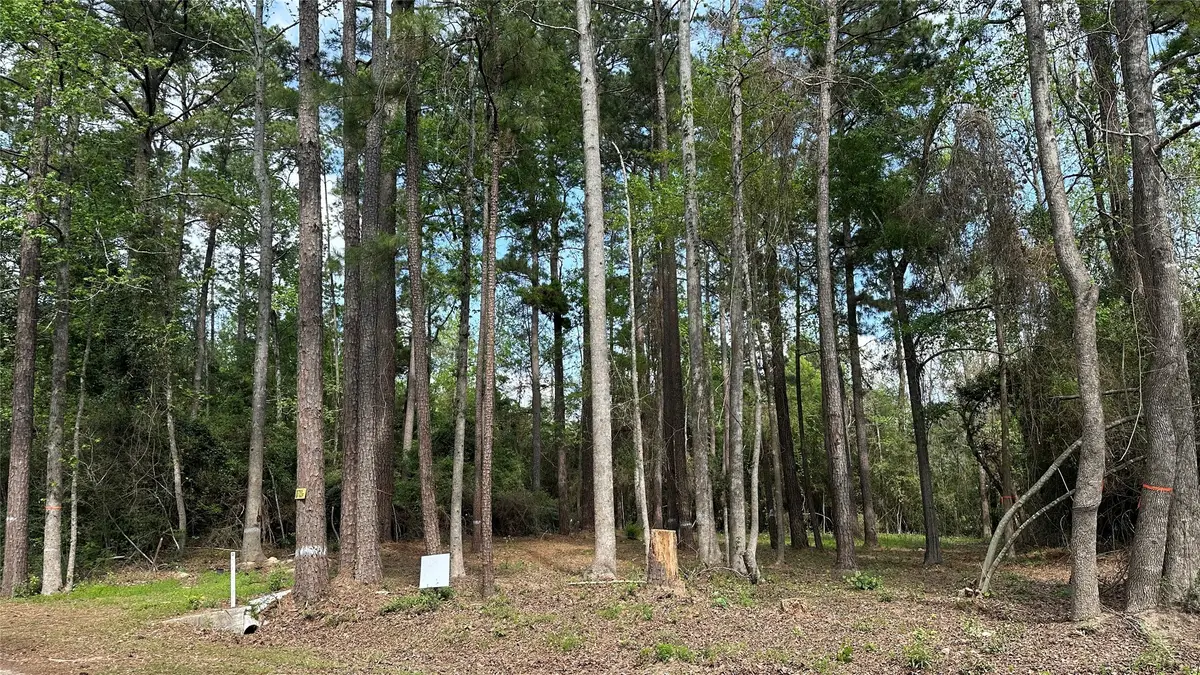 775 Huckleberry Circle, Onalaska, TX 77360 - #1