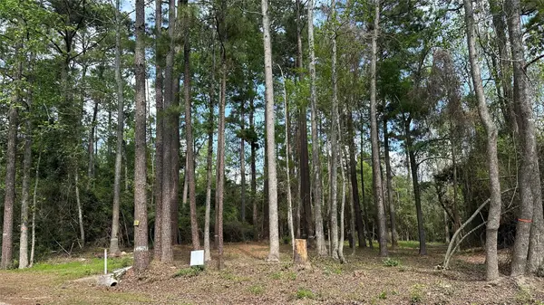 775 Huckleberry Circle, Onalaska, TX 77360