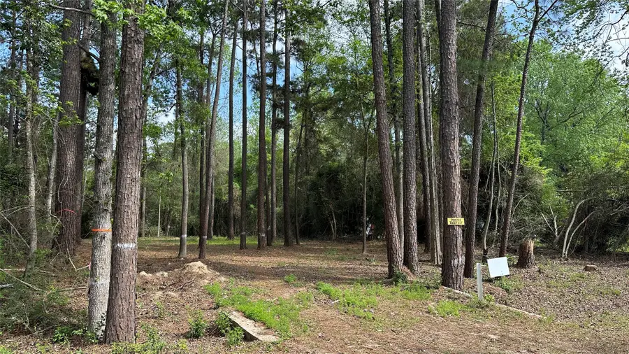 775 Huckleberry Circle, Onalaska, TX 77360 - #2