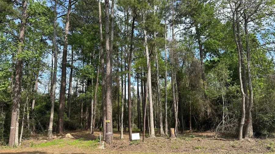 775 Huckleberry Circle, Onalaska, TX 77360 - #3