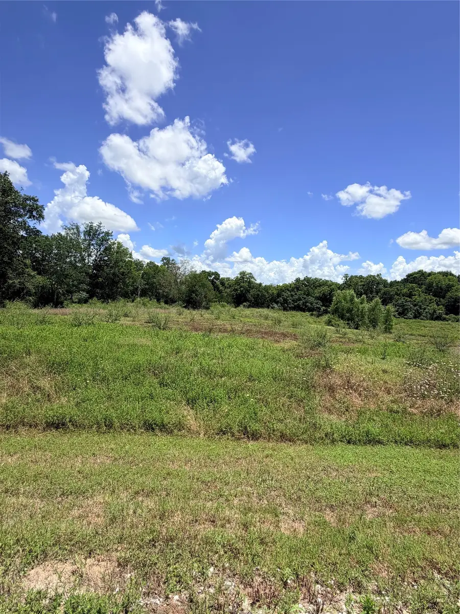 Lot 36 Winding Branch, Chappell Hill, TX 77426 - #2