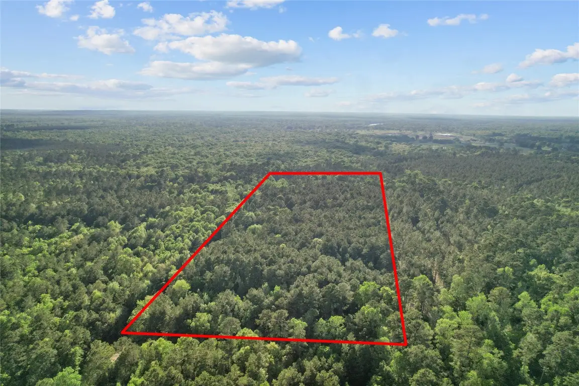 0 County Road 2116, Cleveland, TX 77327 - #1