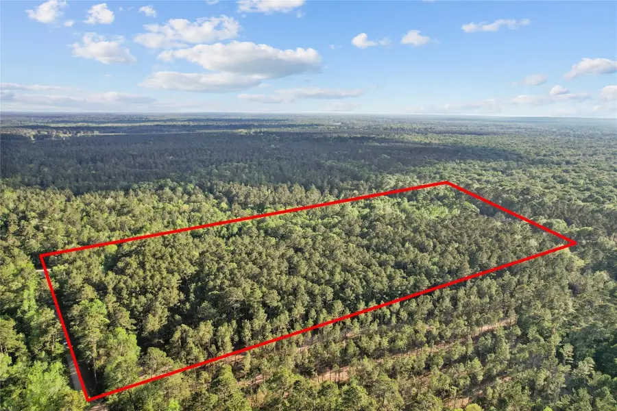 0 County Road 2116, Cleveland, TX 77327 - #3