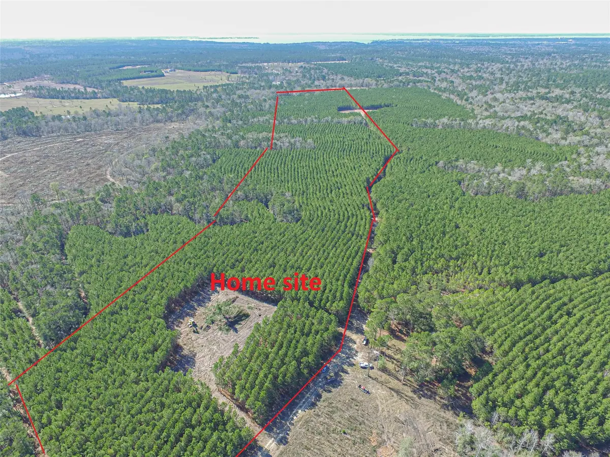 3103 Sandydale Lane, Livingston, TX 77351 - Image #1