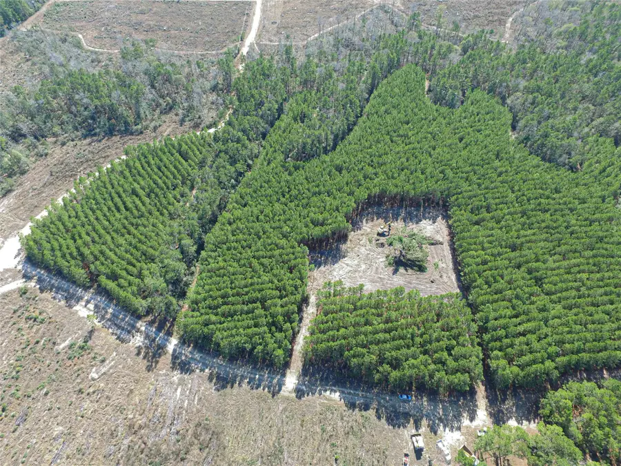 3103 Sandydale Lane, Livingston, TX 77351 - Image #2