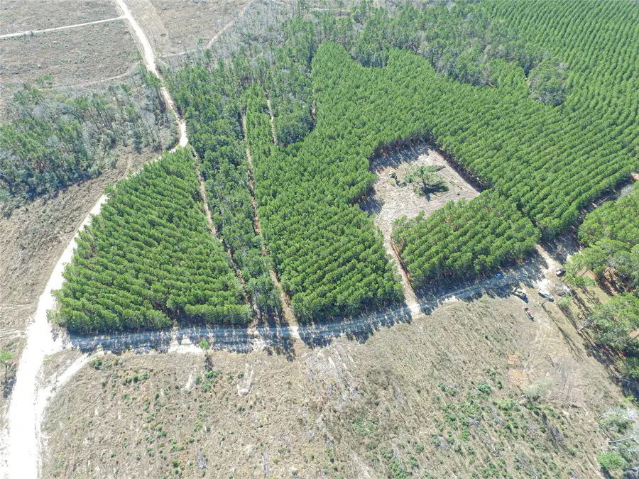 3103 Sandydale Lane, Livingston, TX 77351 - Image #3