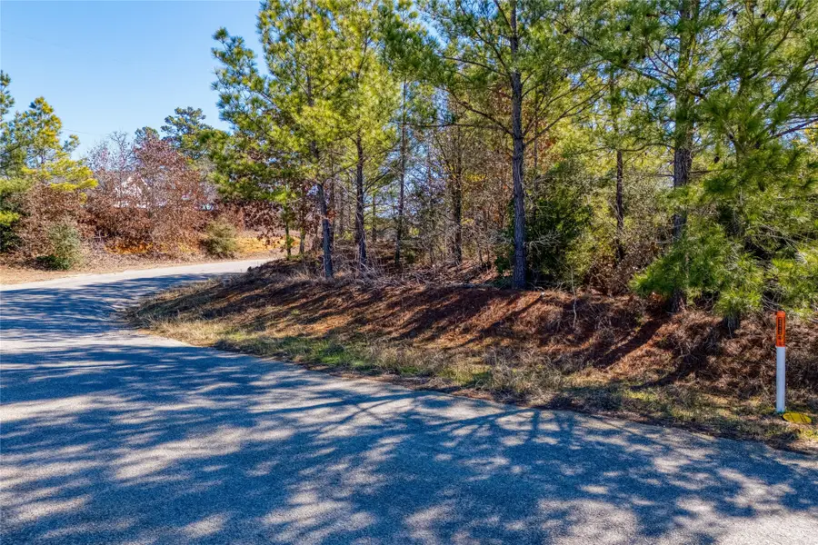 215-225 Pine Path, Bastrop, TX 78602 - Image #2