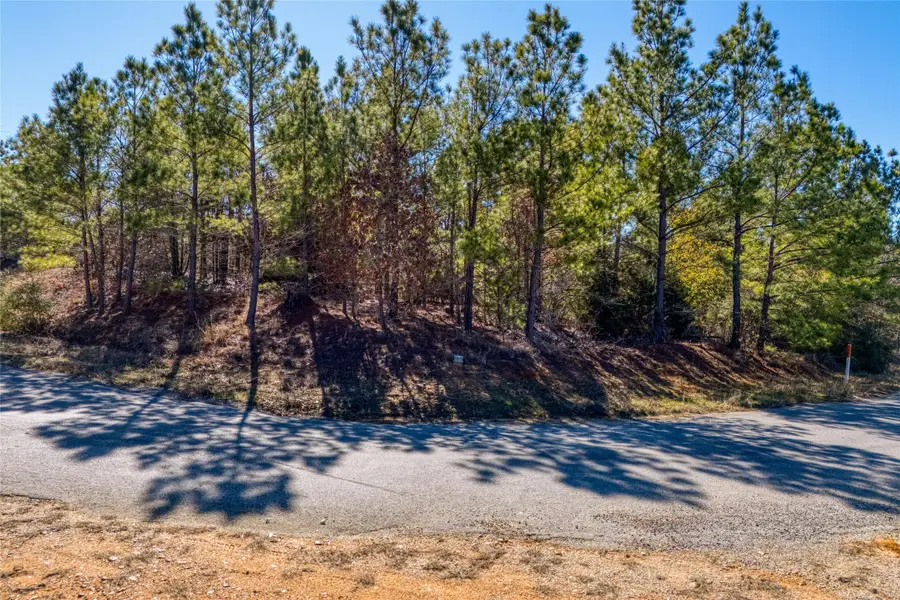 215-225 Pine Path, Bastrop, TX 78602 - Image #3