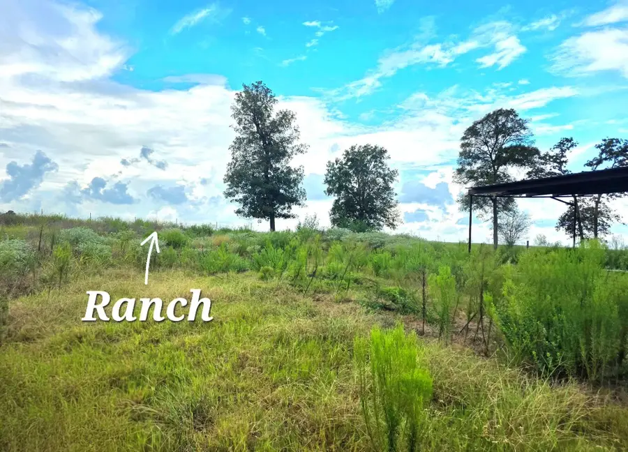 37903 Antrim Street, Hempstead, TX 77445 - #3