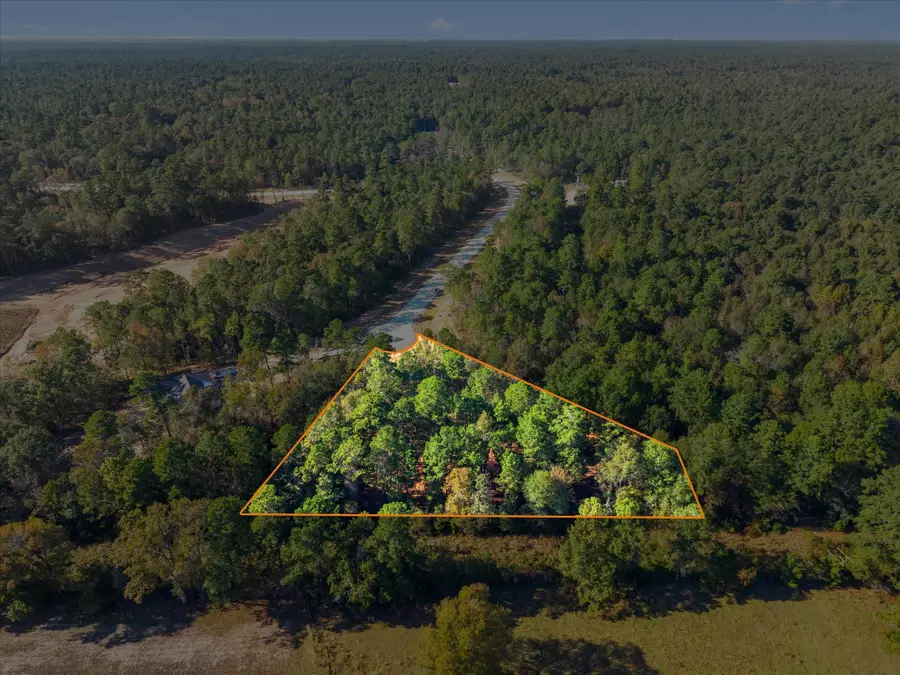 195 Bunkhouse Road, New Waverly, TX 77358 - Image #3