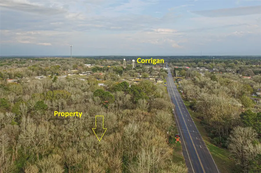 TBD W 2nd Street, Corrigan, TX 75939 - #3