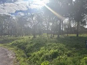 0 Lost Lake Drive, Monterey Belvieu, TX 77523 - #2