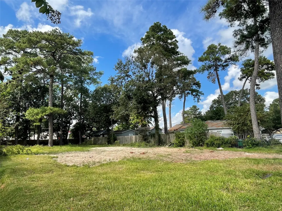 1321 Caywood Lane, Houston, TX 77055 - #1