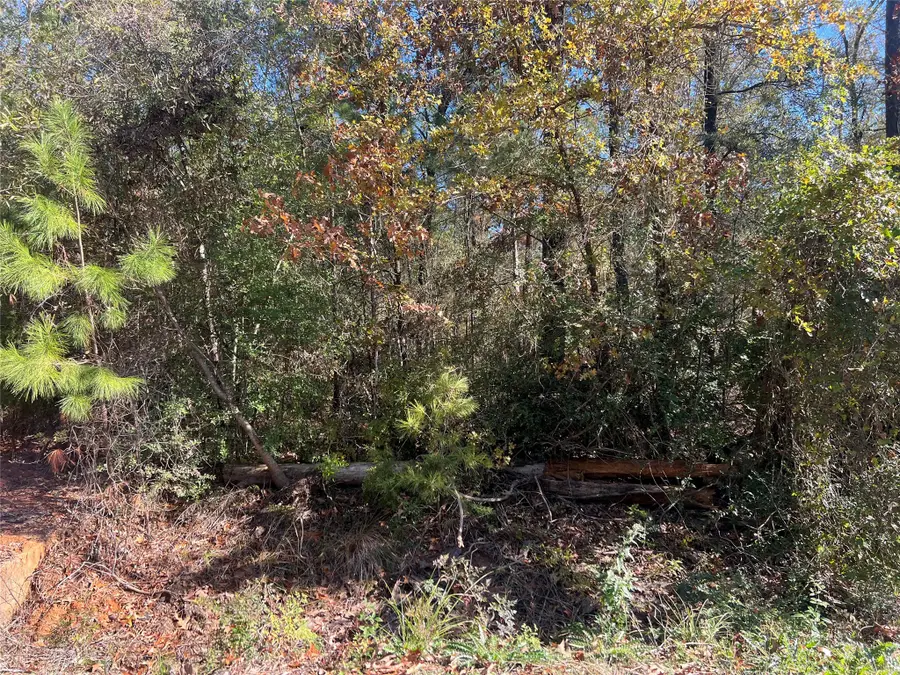 126 Moonlite Drive, Livingston, TX 77351 - Image #3