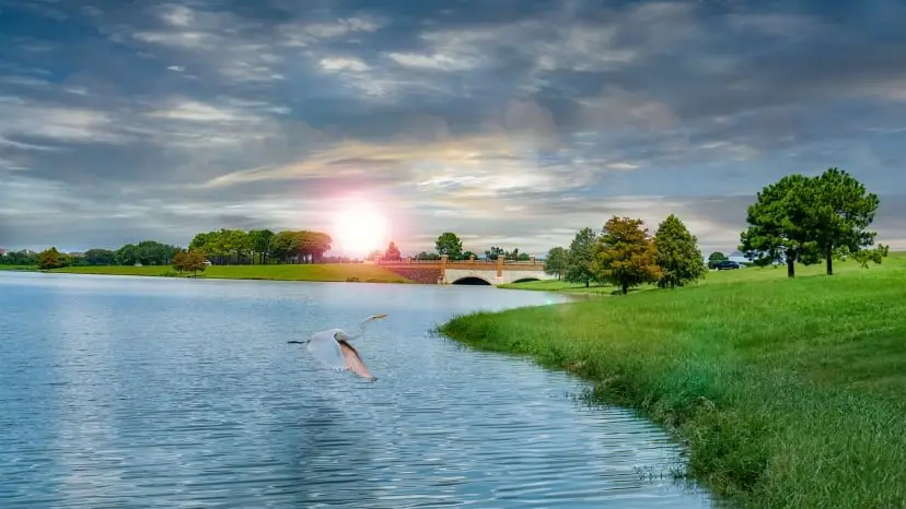 10730 Wild Blue Lupine Way, Cypress, TX 77433 - #3