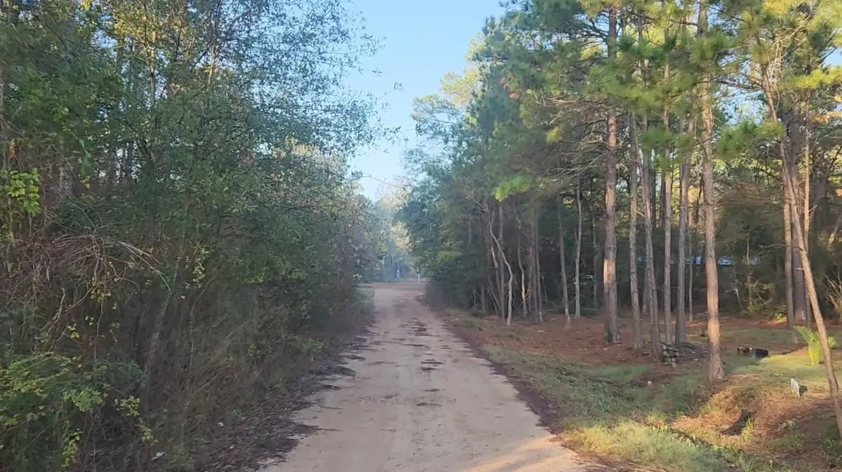 Lot 7 Sweetleaf Lane, Plantersville, TX 77363 - Image #1