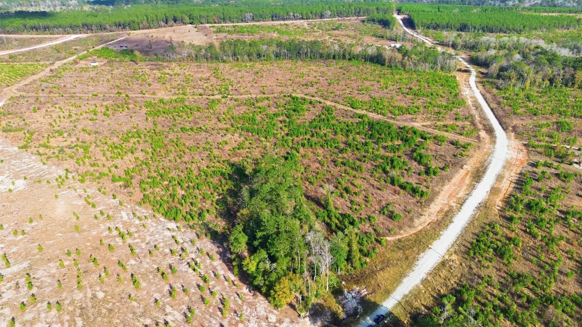 TBD Lady Luck Parcel Id 246461 Lane, Livingston, TX 77351 - #1