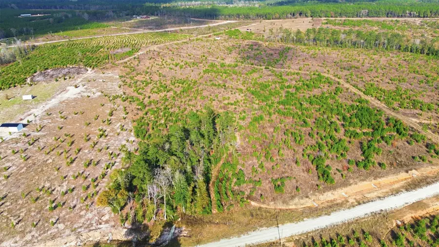 TBD Lady Luck Parcel Id 246461 Lane, Livingston, TX 77351 - #2