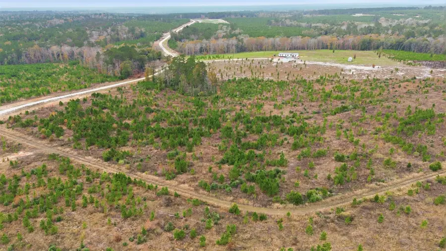 TBD Lady Luck Parcel Id 246461 Lane, Livingston, TX 77351 - #3