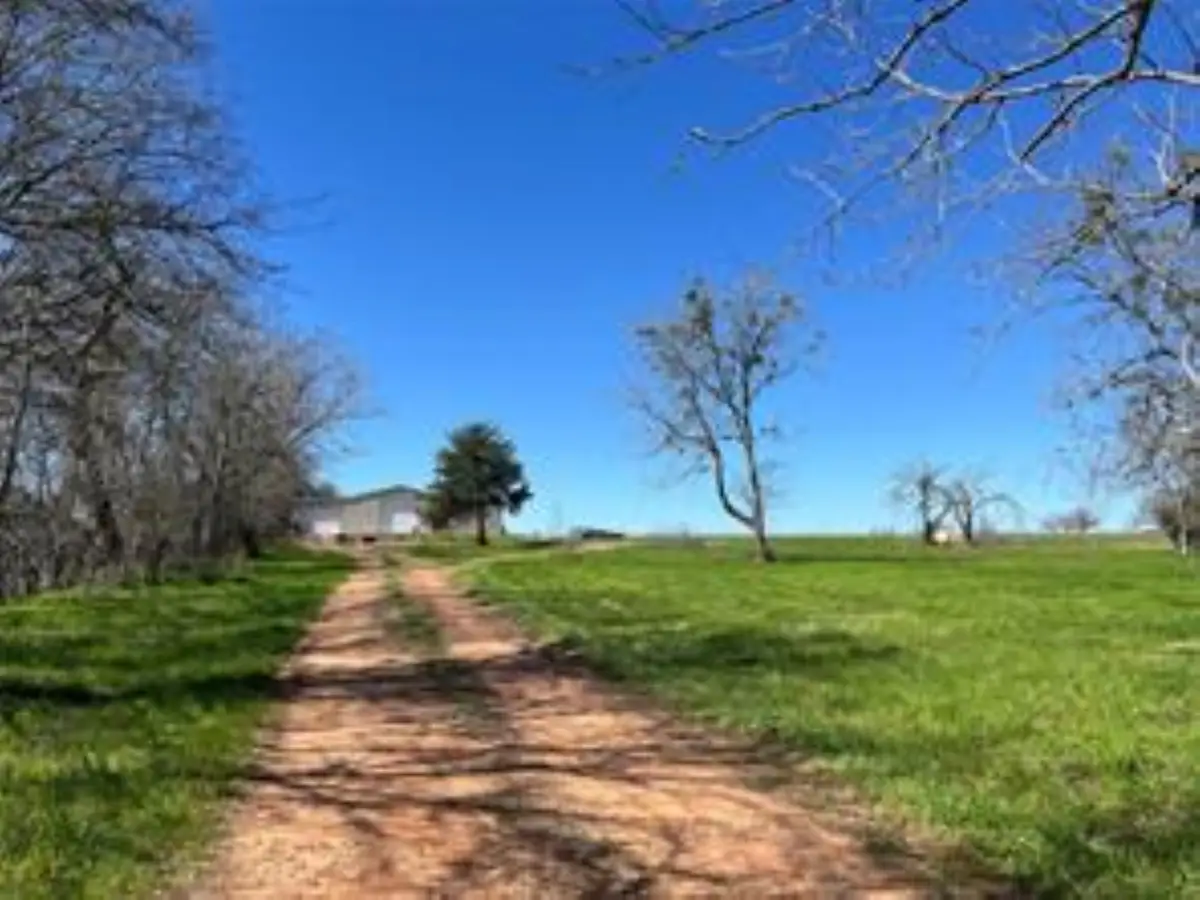 000 Mcelroy Road, New Ulm, TX 78950 - #1