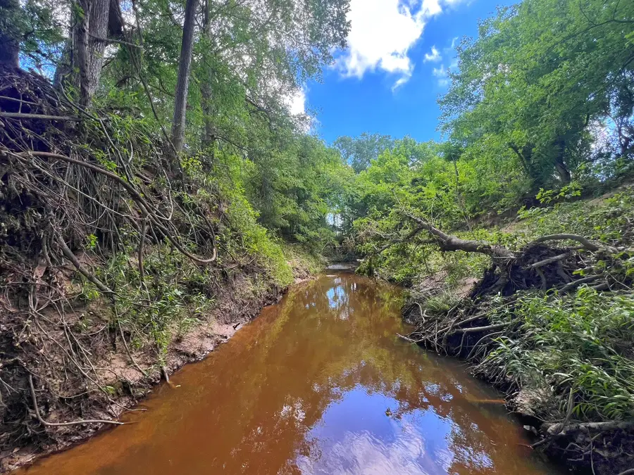 78 ac Cr 1080, Fairfield, TX 75840 - #3