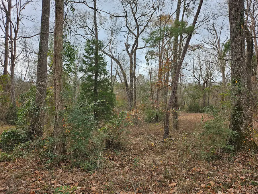 TBD Kelly Drive, Votaw, TX 77376 - #3