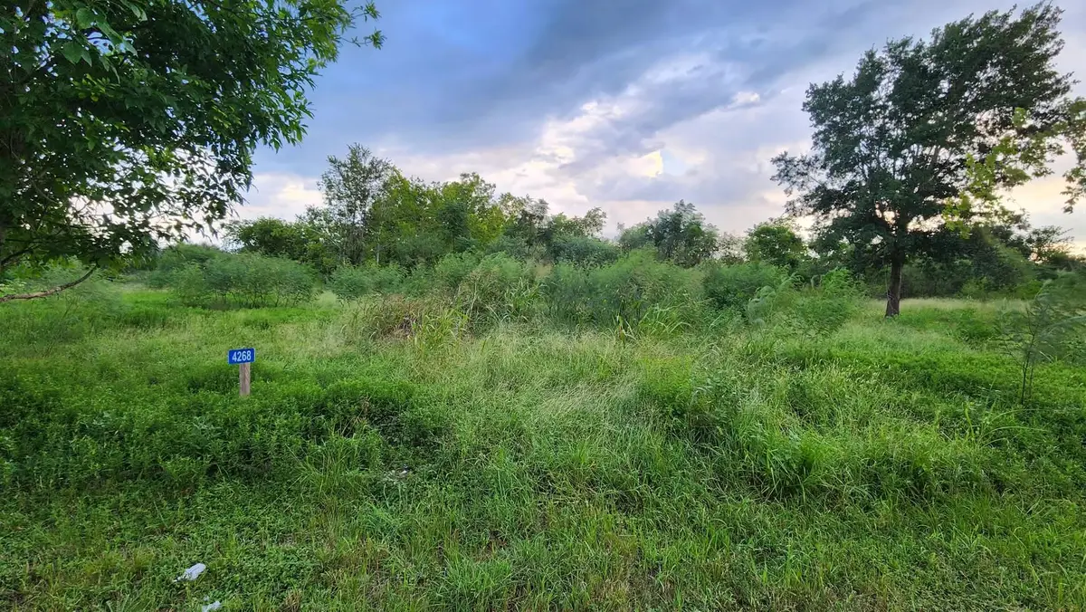 4268 Sealy Road, Sealy, TX 77474 - #1