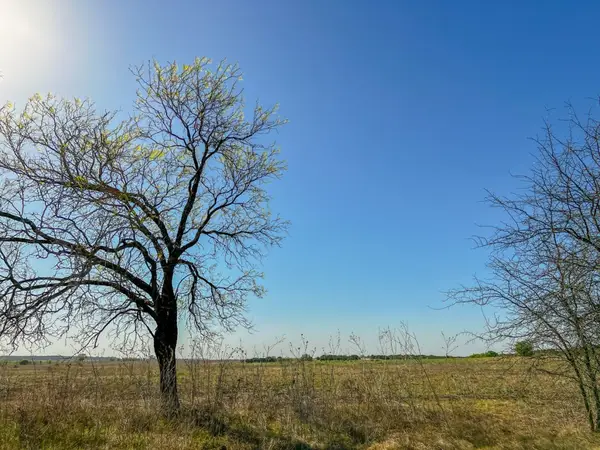 10 Hamilton, Hamilton, TX 76531