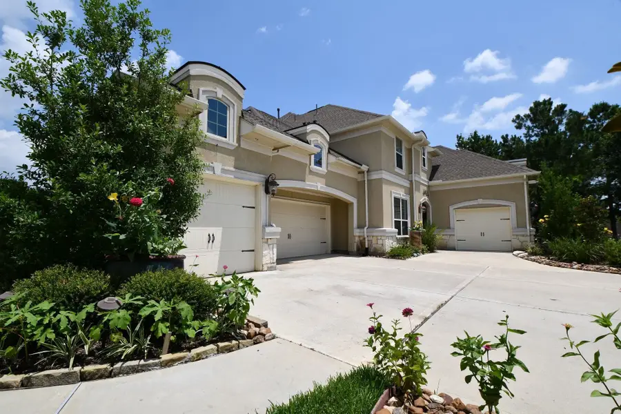 20229 W Hachita Circle, Spring, TX 77379 - #2