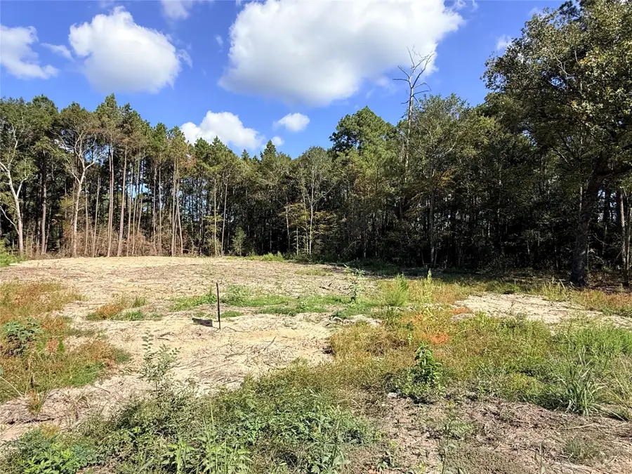 11249 Wildwood Lane, Plantersville, TX 77363 - Image #2