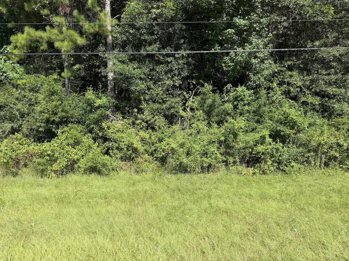 000 Farm To Market Hwy 92, Spurger, TX 77660 - #1