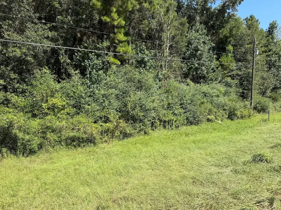 000 Farm To Market Hwy 92, Spurger, TX 77660 - #3