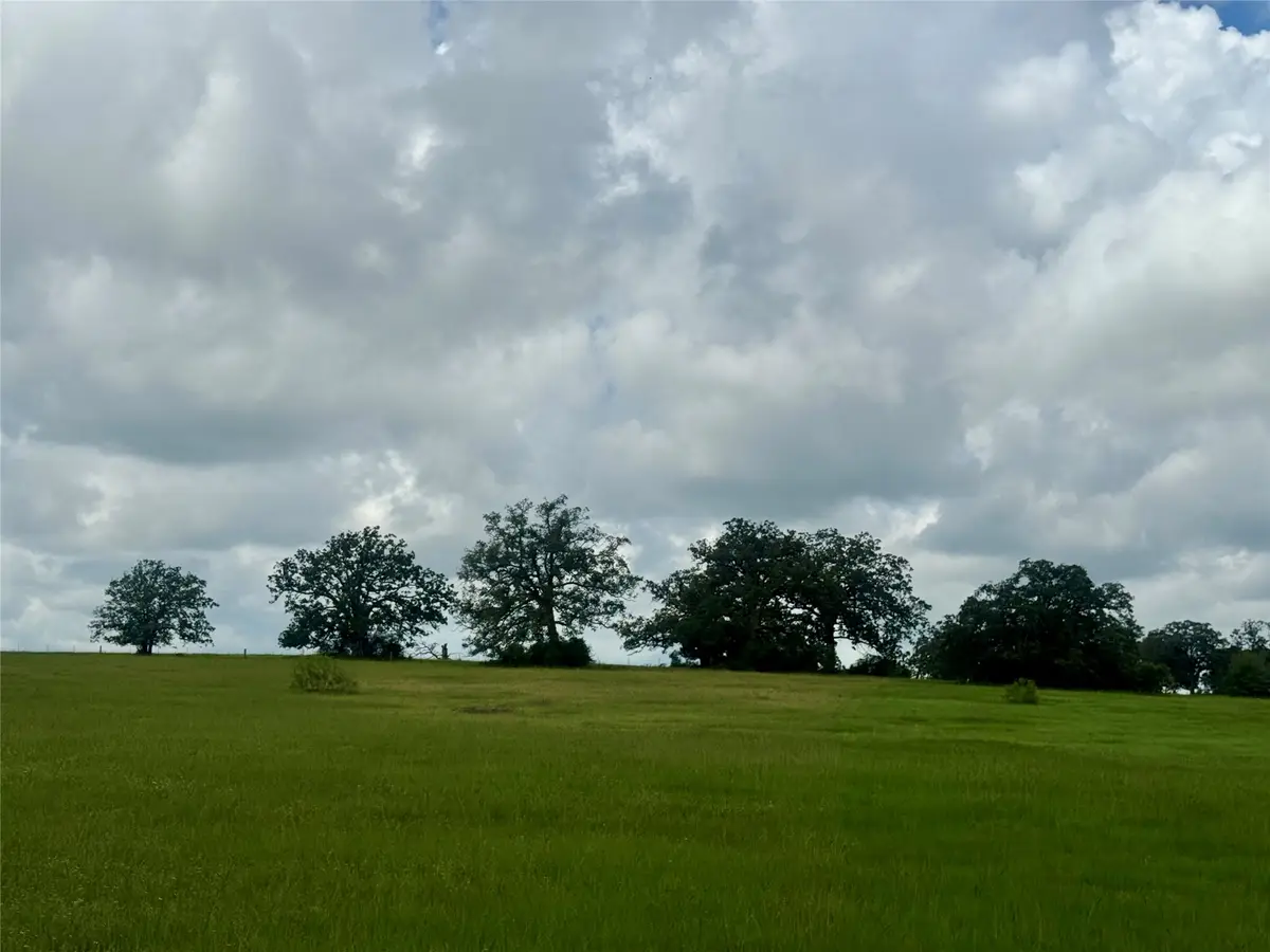 1390 Connor Landing, Madisonville, TX 77864 - #1
