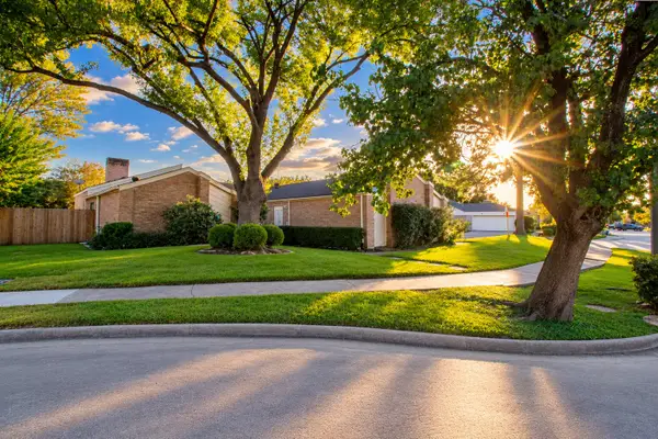 11607 Briar Rose Drive, Houston, TX 77077