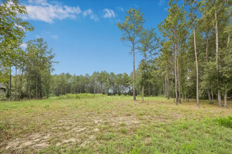 25171 Balmorhea Way, Montgomery, TX 77316 - #3