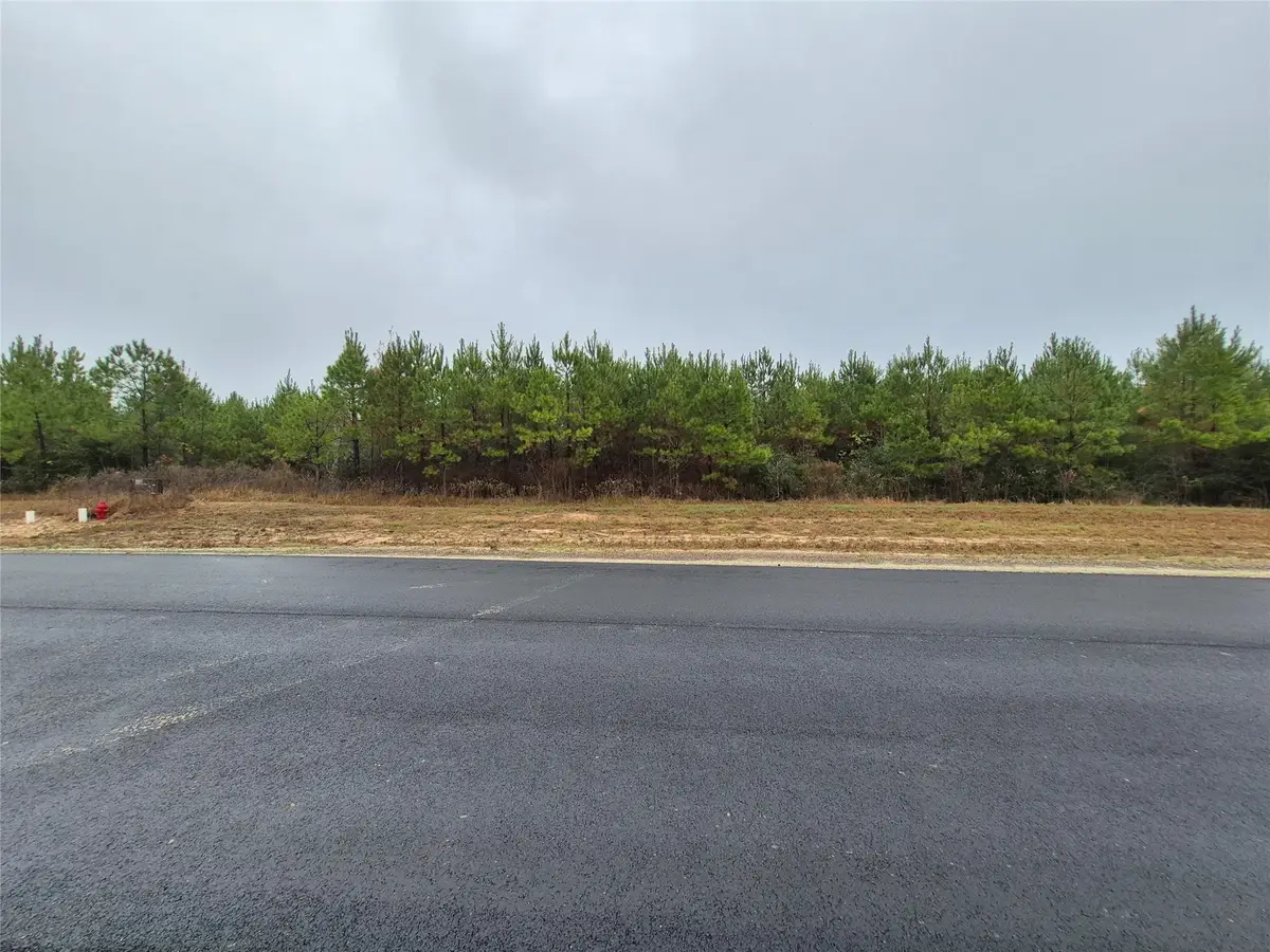 11514 Inspiration Drive, Willis, TX 77378 - Image #1