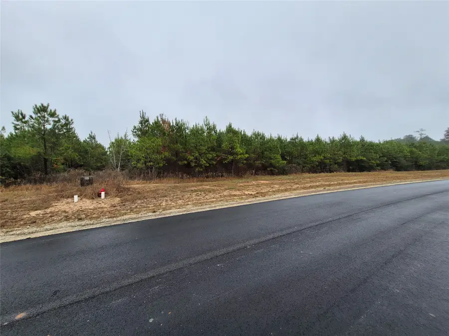 11514 Inspiration Drive, Willis, TX 77378 - Image #2