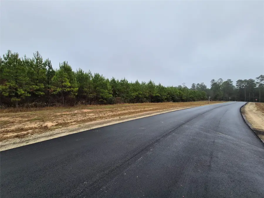 11514 Inspiration Drive, Willis, TX 77378 - Image #3