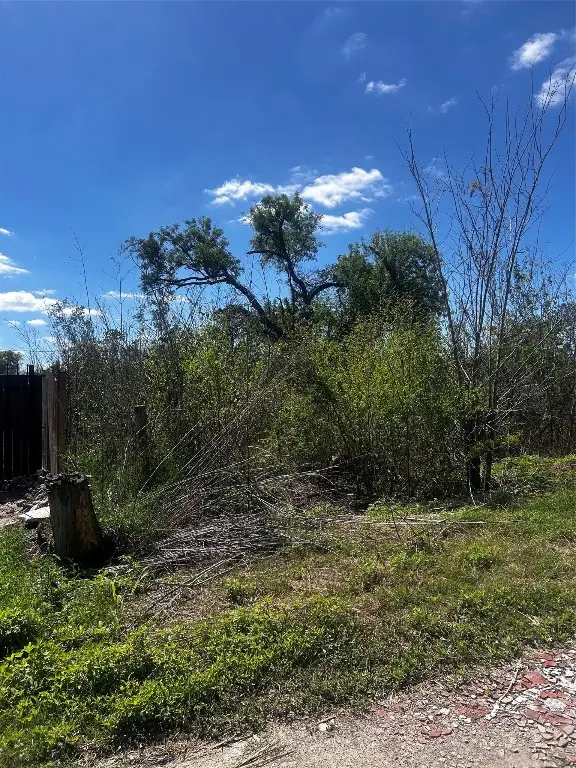 6214 Grosbeck Drive, Houston, TX 77048 - #3