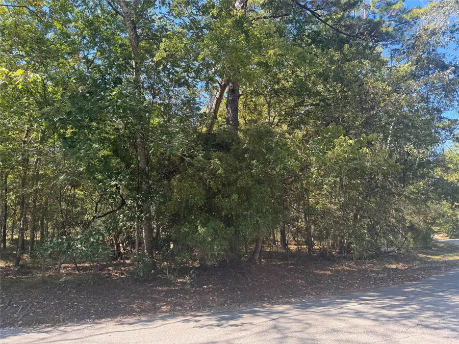 176 N Fairway Loop, Coldspring, TX 77331 - #2