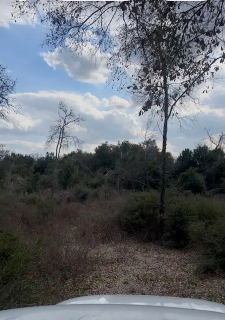 46833 Old Houston Highway, Pine Island, TX 77445 - #2