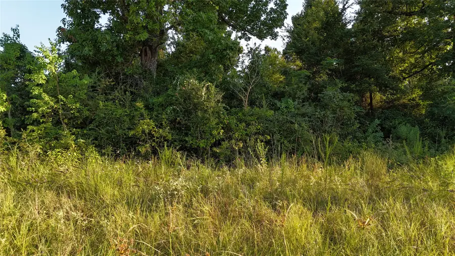 TBD Long Drive, Onalaska, TX 77360 - #2