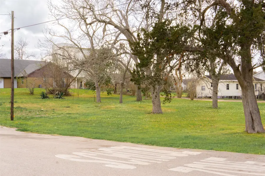 204 3rd Street, Rosenberg, TX 77471 - #3