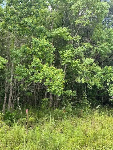 TBD 7 County Road 2223-b, Cleveland, TX 77327 - #3