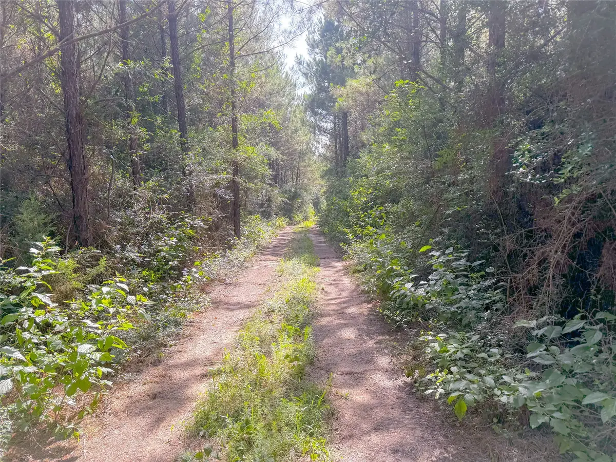 0 County Road 2650, Cleveland, TX 77327 - #1