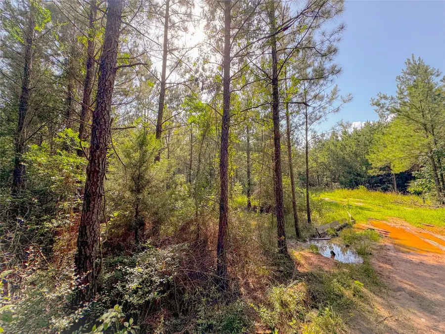 0 County Road 2650, Cleveland, TX 77327 - #3